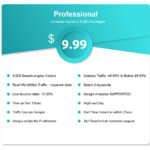 Professional-Package-for-keyword-webtraffic