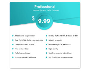 Professional-Package-for-keyword-webtraffic