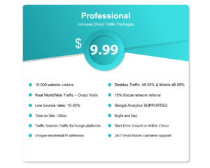 Professional-Package-for-webtraffic