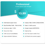 Professional-Referral-Traffic-Packages