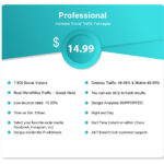 Professional-Social-Traffic-Packages